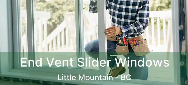  End Vent Slider Windows Little Mountain - BC