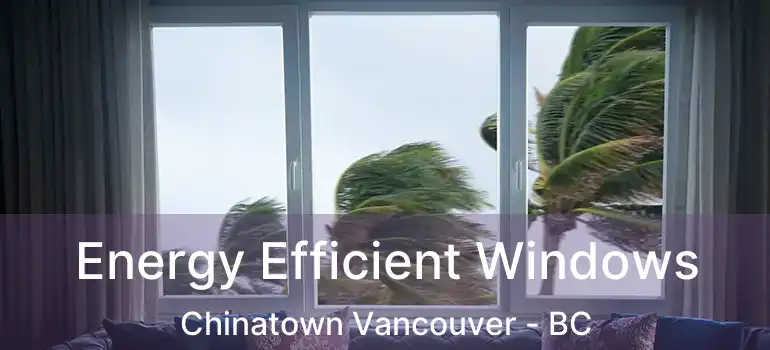  Energy Efficient Windows Chinatown Vancouver - BC