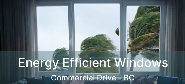  Energy Efficient Windows Commercial Drive - BC