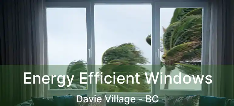  Energy Efficient Windows Davie Village - BC