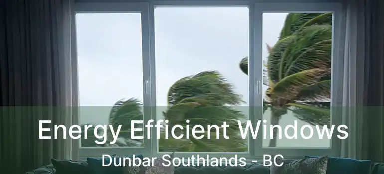  Energy Efficient Windows Dunbar Southlands - BC