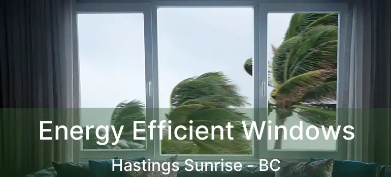  Energy Efficient Windows Hastings Sunrise - BC