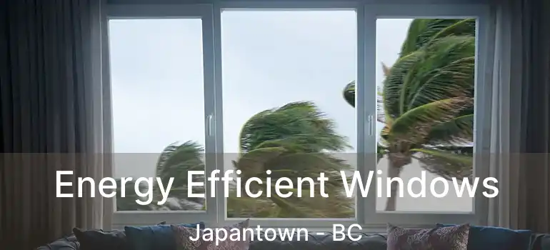  Energy Efficient Windows Japantown - BC