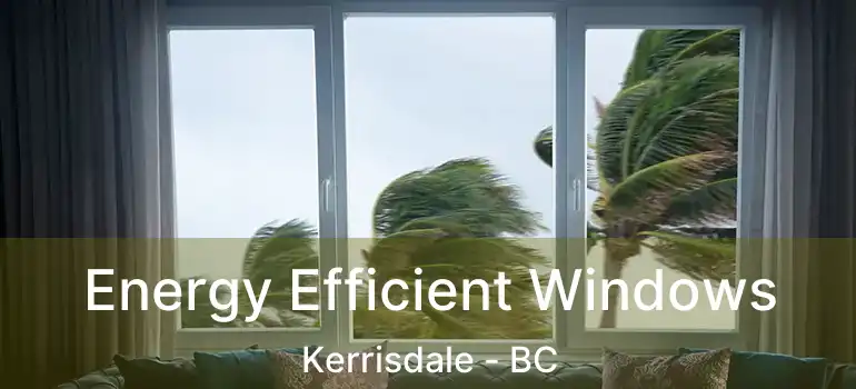  Energy Efficient Windows Kerrisdale - BC