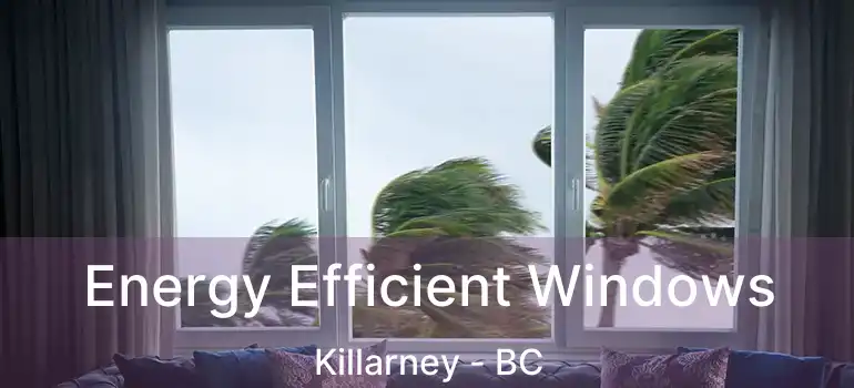  Energy Efficient Windows Killarney - BC