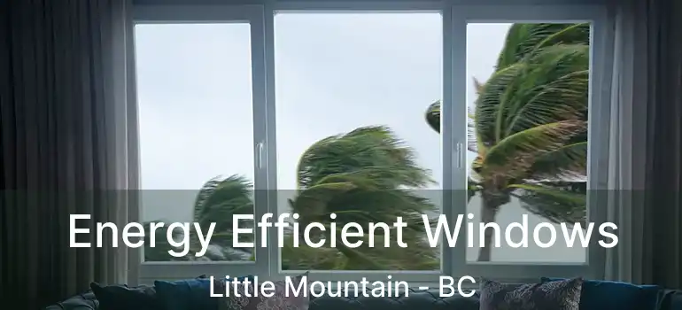  Energy Efficient Windows Little Mountain - BC