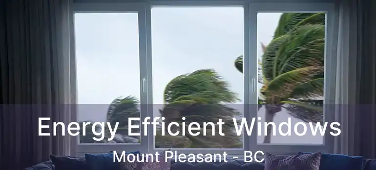  Energy Efficient Windows Mount Pleasant - BC