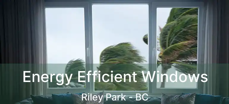  Energy Efficient Windows Riley Park - BC