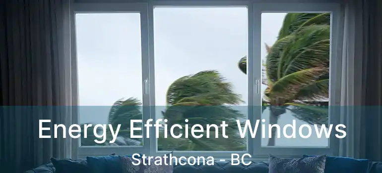  Energy Efficient Windows Strathcona - BC