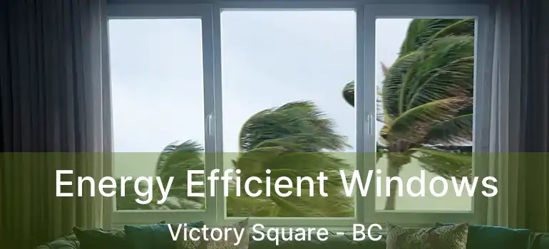  Energy Efficient Windows Victory Square - BC