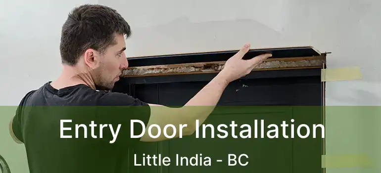  Entry Door Installation Little India - BC