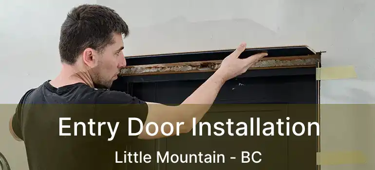  Entry Door Installation Little Mountain - BC