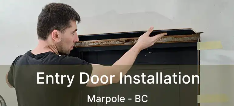  Entry Door Installation Marpole - BC