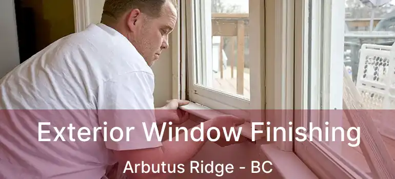  Exterior Window Finishing Arbutus Ridge - BC