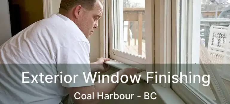  Exterior Window Finishing Coal Harbour - BC