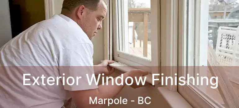  Exterior Window Finishing Marpole - BC