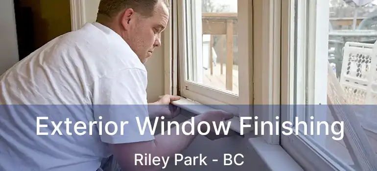  Exterior Window Finishing Riley Park - BC