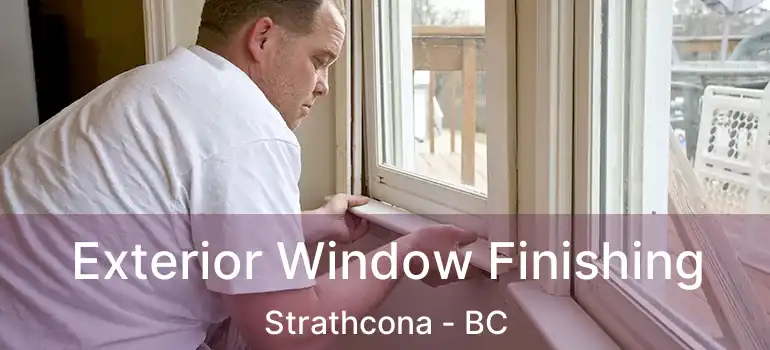  Exterior Window Finishing Strathcona - BC