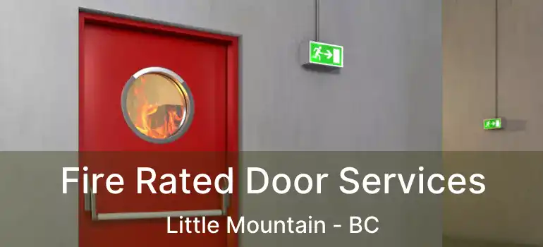  Fire Rated Door Services Little Mountain - BC