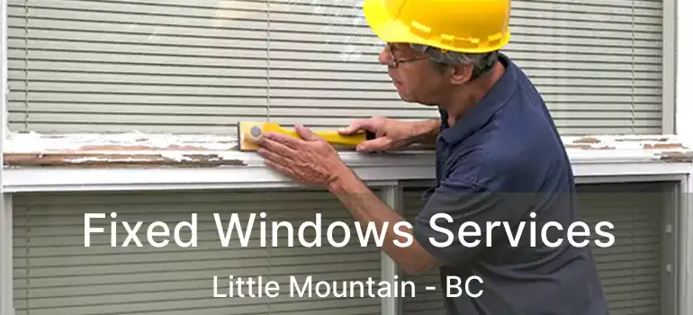  Fixed Windows Services Little Mountain - BC