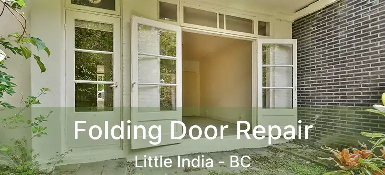  Folding Door Repair Little India - BC