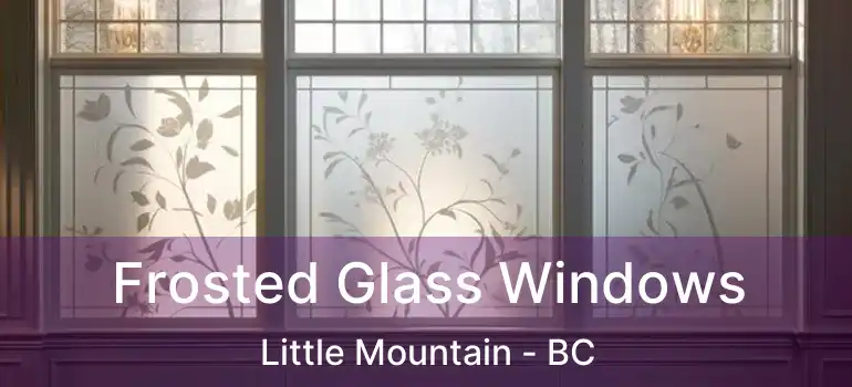  Frosted Glass Windows Little Mountain - BC