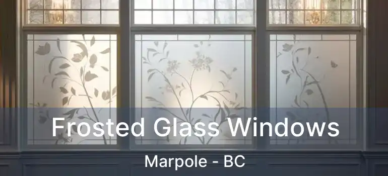 Frosted Glass Windows Marpole - BC