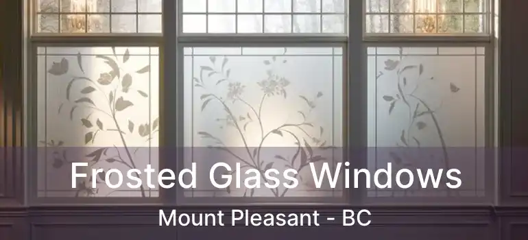  Frosted Glass Windows Mount Pleasant - BC