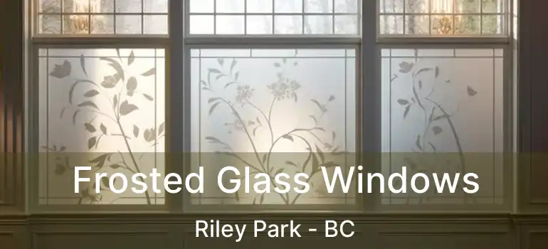  Frosted Glass Windows Riley Park - BC
