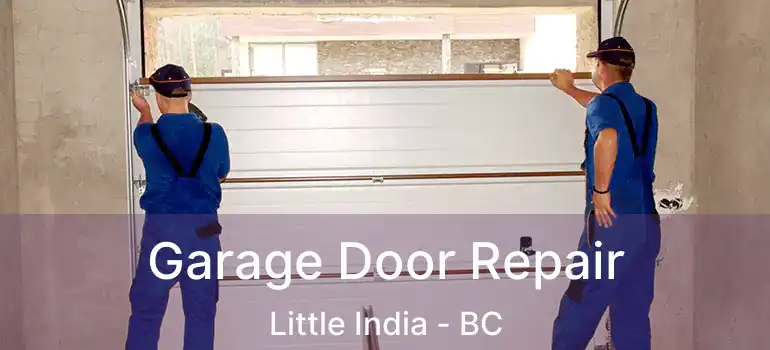  Garage Door Repair Little India - BC