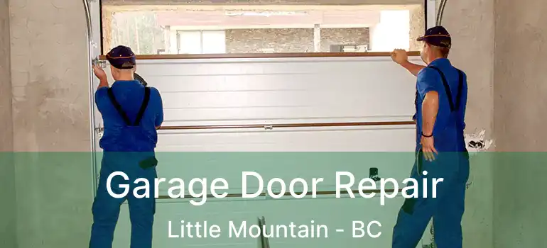  Garage Door Repair Little Mountain - BC