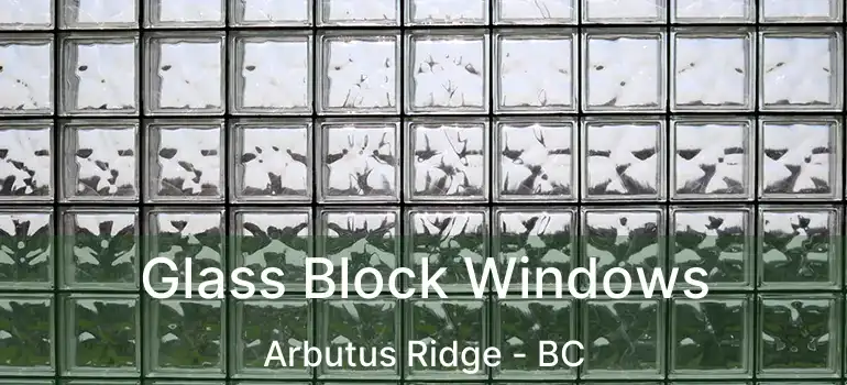  Glass Block Windows Arbutus Ridge - BC