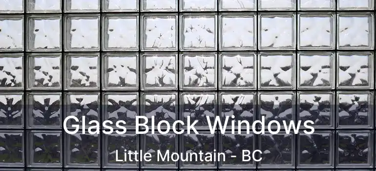  Glass Block Windows Little Mountain - BC