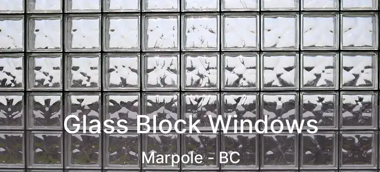  Glass Block Windows Marpole - BC