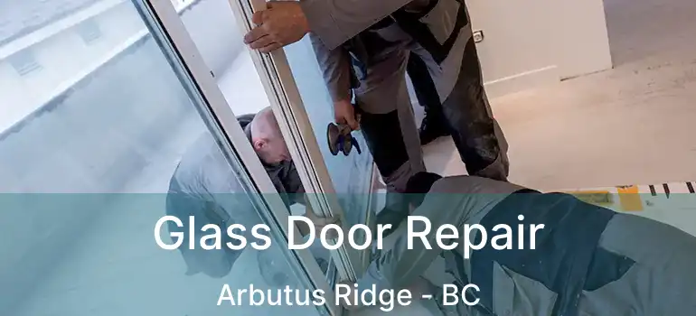  Glass Door Repair Arbutus Ridge - BC