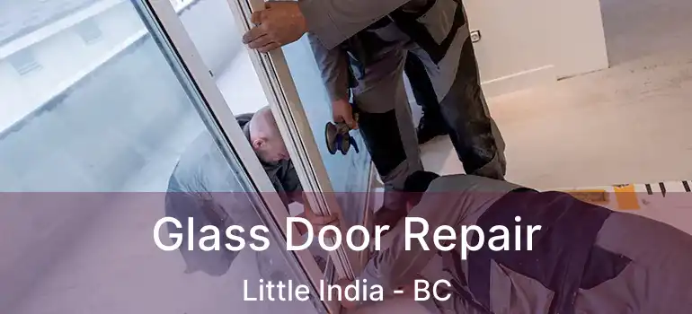  Glass Door Repair Little India - BC