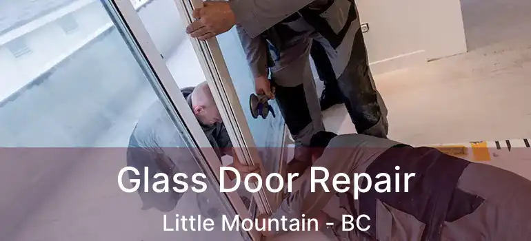  Glass Door Repair Little Mountain - BC
