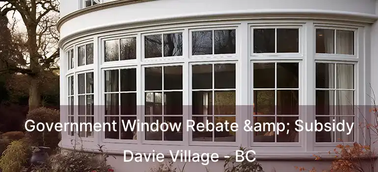  Government Window Rebate & Subsidy Davie Village - BC