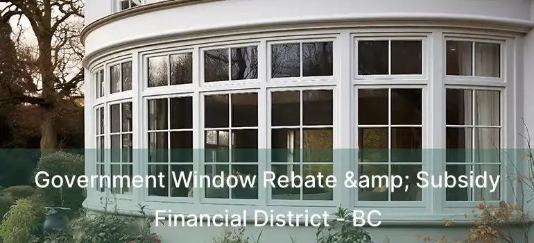  Government Window Rebate & Subsidy Financial District - BC