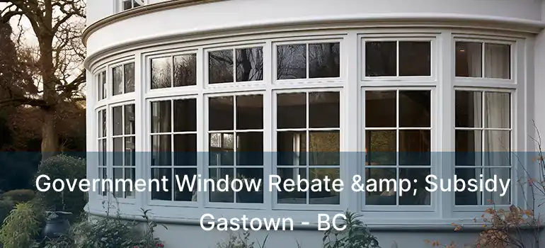  Government Window Rebate & Subsidy Gastown - BC