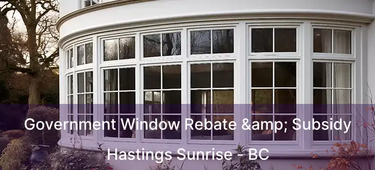  Government Window Rebate & Subsidy Hastings Sunrise - BC