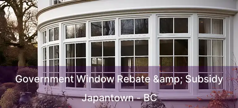  Government Window Rebate & Subsidy Japantown - BC