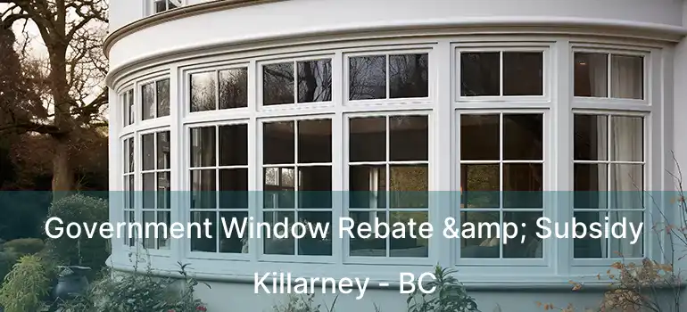  Government Window Rebate & Subsidy Killarney - BC