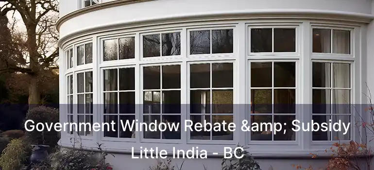  Government Window Rebate & Subsidy Little India - BC