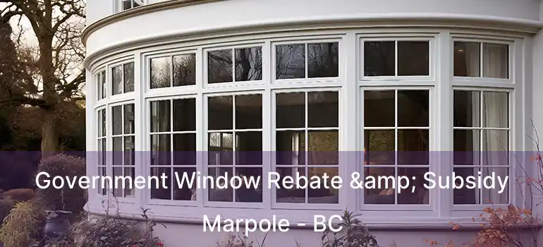  Government Window Rebate & Subsidy Marpole - BC