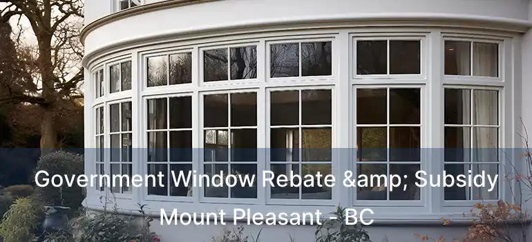  Government Window Rebate & Subsidy Mount Pleasant - BC