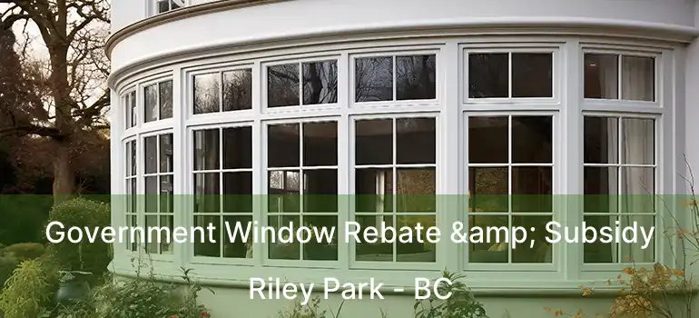  Government Window Rebate & Subsidy Riley Park - BC