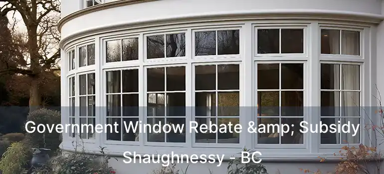  Government Window Rebate & Subsidy Shaughnessy - BC