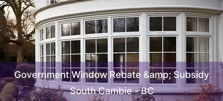  Government Window Rebate & Subsidy South Cambie - BC