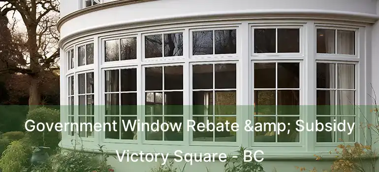  Government Window Rebate & Subsidy Victory Square - BC